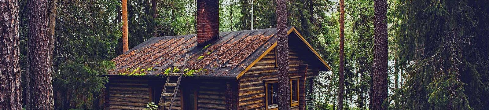 Home office cabin in the woods.