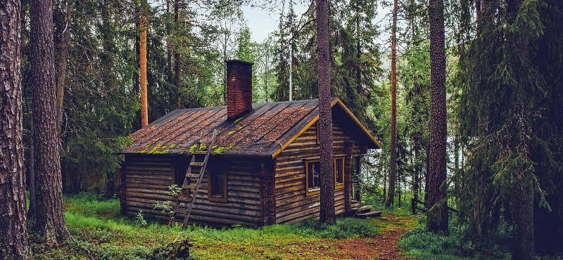 Home office cabin in the woods.